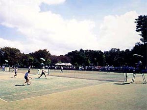 写真：テニスを楽しむ人たち