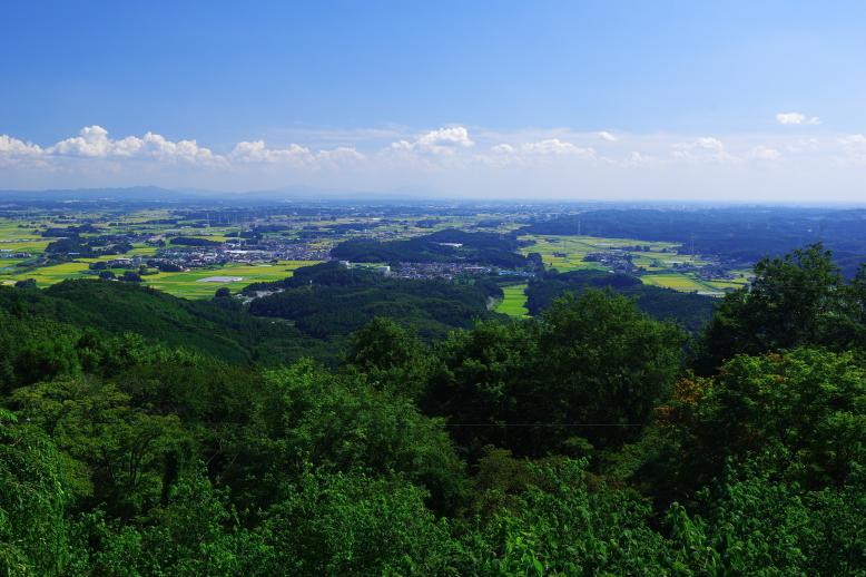 羽黒山緑地環境保全地域の写真（遠景）