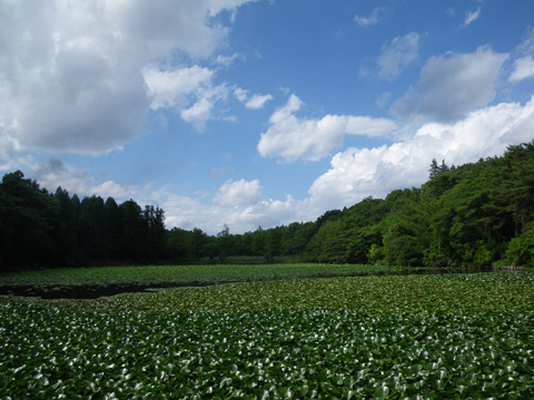 多田羅沼