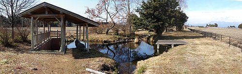 栃木県 滝岡ミヤコタナゴ保護地 親園自然環境保全地域内