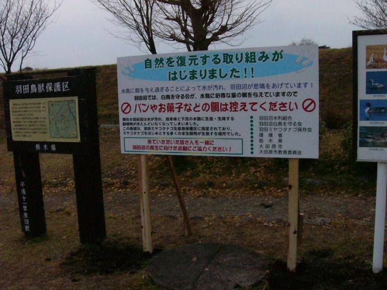 栃木県 羽田ミヤコタナゴ生息地保護区の現状