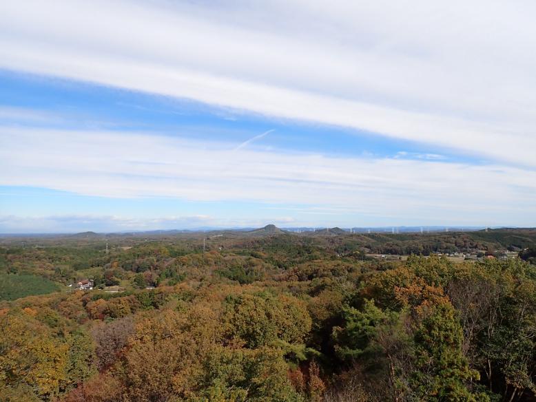 展望塔からの眺め