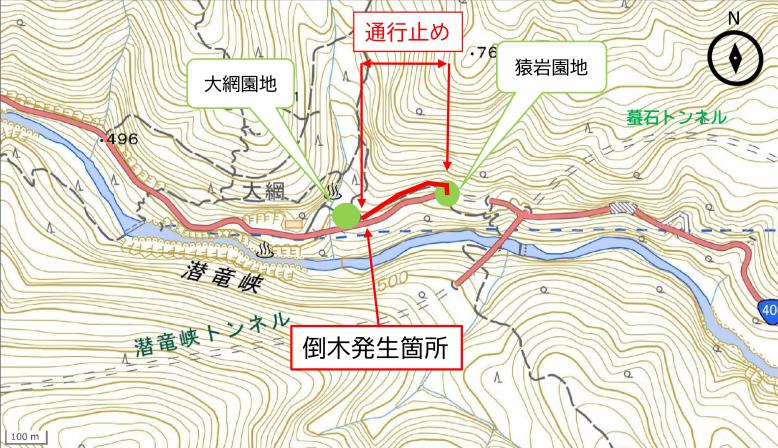 大網倒木