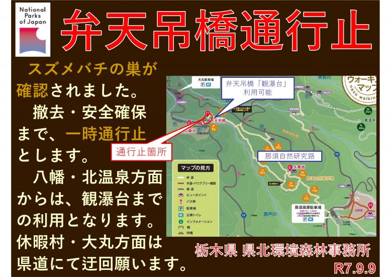 弁天吊橋ハチ