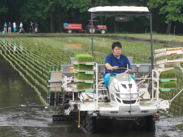 田植え実習