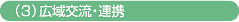 (3)広域交流・連携