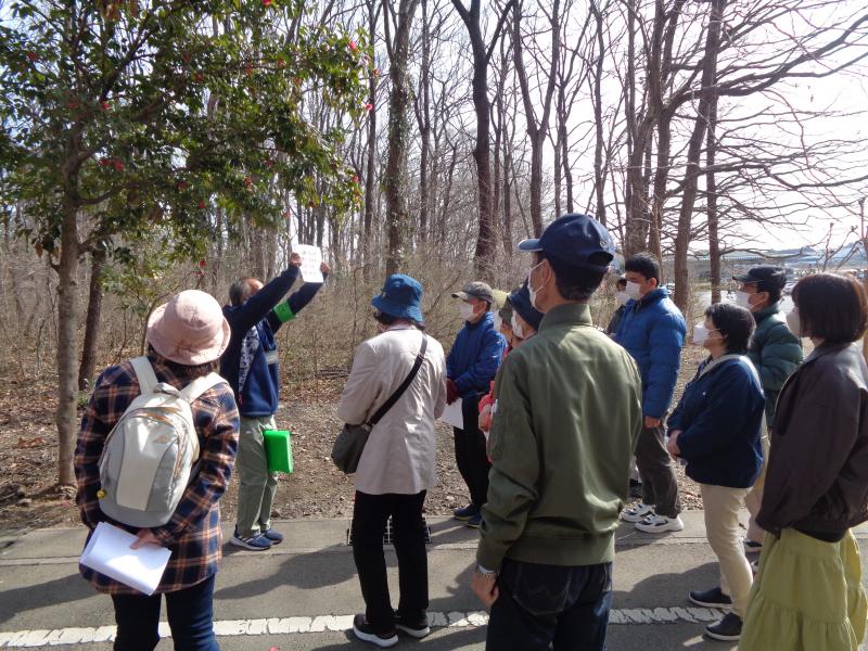 みかも山公園花散歩