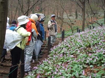 みかも山公園ガイドウォーク