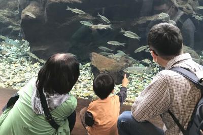 那珂川ジオラマ水槽