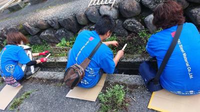 問題に近づき、丁寧な草取り実習