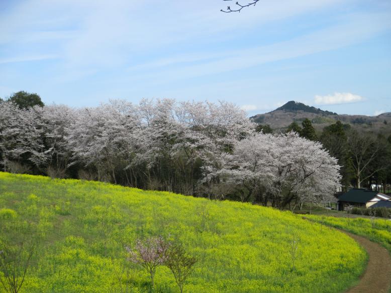 亀岡八幡宮 里山の会（芳賀富士）