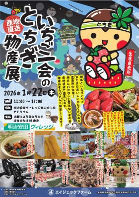 20260122_meijiyasuda chirashi