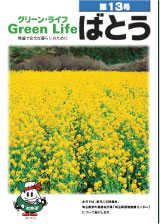 グリーンライフばとう第13号