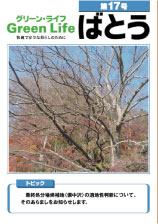 グリーンライフばとう第17号