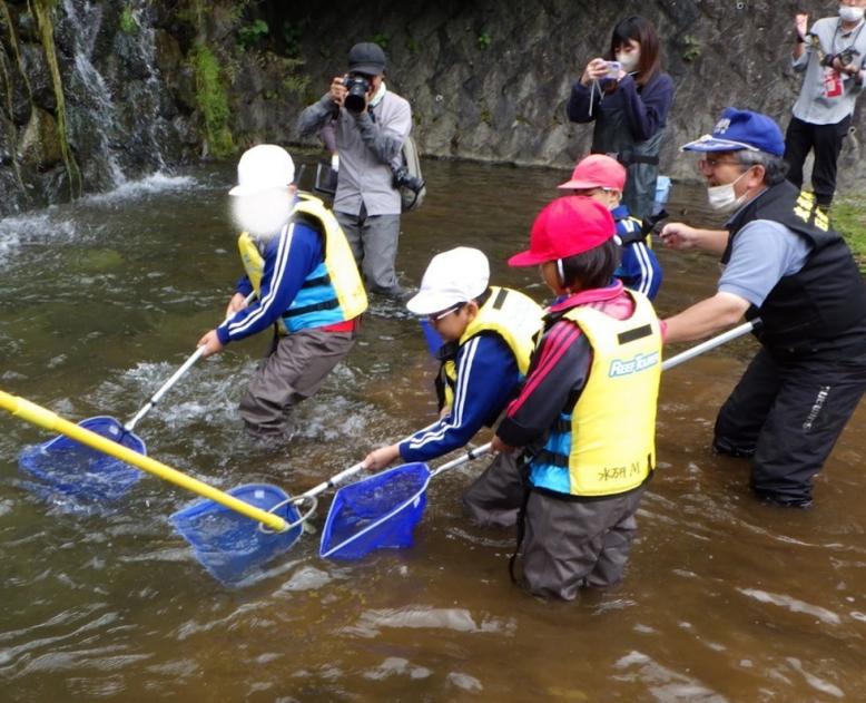 ニッコウイワナ
