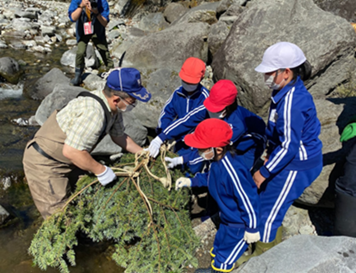 ニッコウイワナ