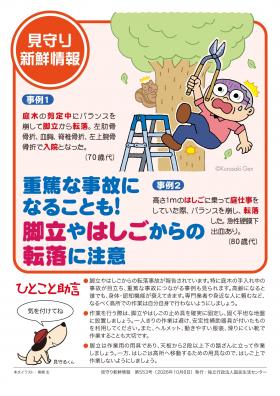 shinsen553