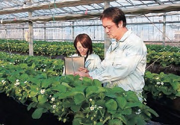 農業試験場