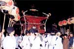 オタリヤの写真