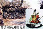 藤原秀郷の肖像と唐沢城跡の写真