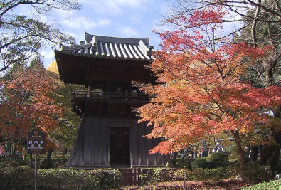 写真：紅葉とばんな寺