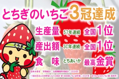 いちご王国プロモーション推進委員会05