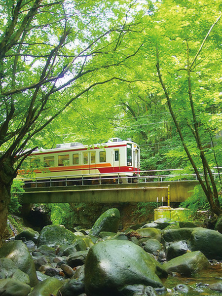 野岩鉄道写真