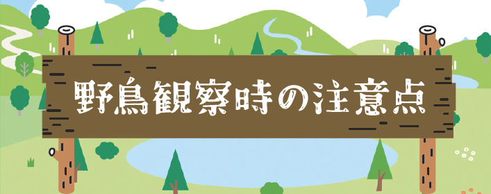 野鳥観察時の注意点