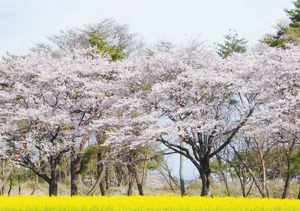 鬼怒グリーンパーク写真