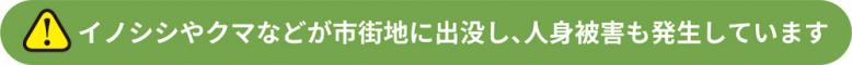 イノシシやクマなどが市街地に出没し、人身被害も発生しています