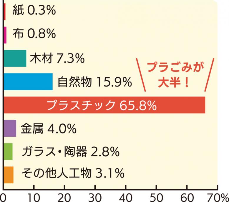 プラスチックだけで全体の65.8%を占めている。プラごみが大半