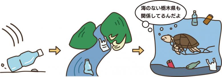 海のない栃木県も関係してるんだよ