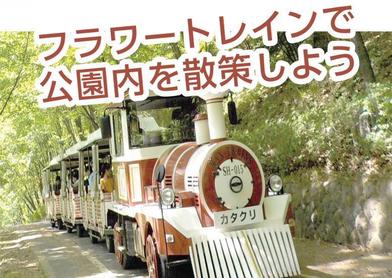 フラワートレインで公園内を散策しよう