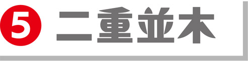 5二重並木