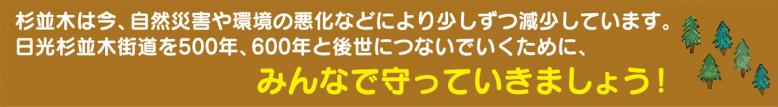  杉並木は今、自然災害や環境の悪化などにより少しずつ減少しています。後世につないでいくためにみんなで守っていきましょう