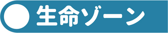 生命ゾーン