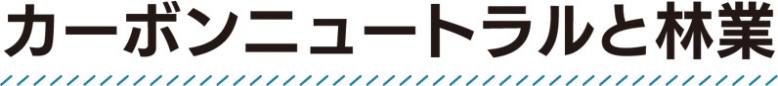 カーボンニュートラルと林業