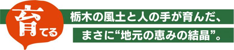 育てる 栃木の風土と人の手が育んだ、まさに“地元の恵みの結晶”