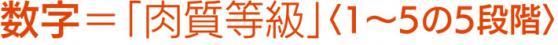 数字＝「肉質等級」〈1～5の5段階〉