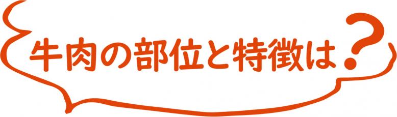 牛肉の部位と特徴は?