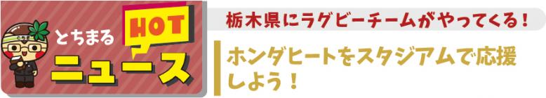 栃木県にラグビーチームがやってくる！ホンダヒートをスタジアムで応援しよう
