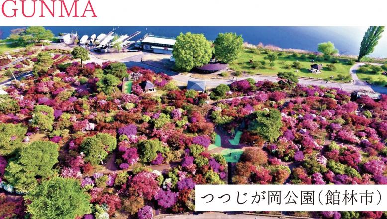 群馬県館林市 つつじが岡公園
