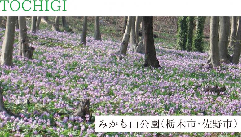 栃木県栃木市、佐野市 みかも山公園