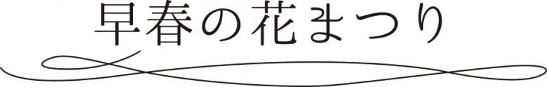 早春の花まつり