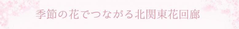 季節の花でつながる北関東花回廊
