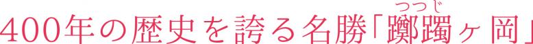 400年の歴史を誇る名勝躑躅ヶ岡