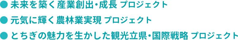 ●未来を築く産業創出・成長プロジェクト●元気に輝く農林業実現プロジェクト●とちぎの魅力を生かした観光立県・国際戦略プロジェクト