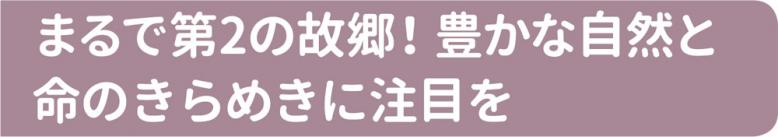 まるで第2の故郷！豊かな自然と命のきらめきに注目を