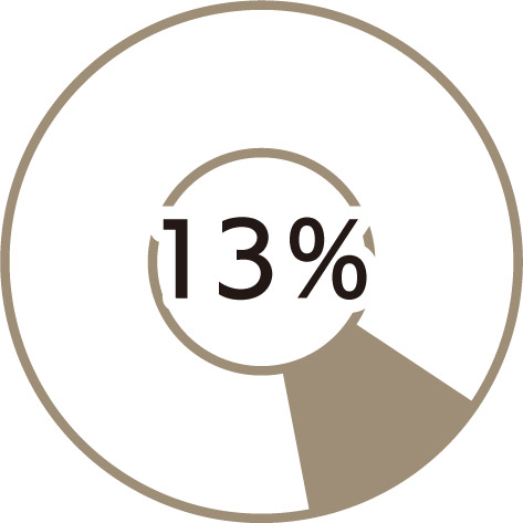 13％