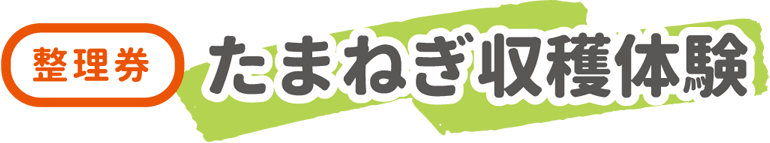 たまねぎ収穫体験